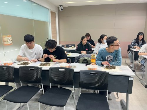 裝飾性圖片