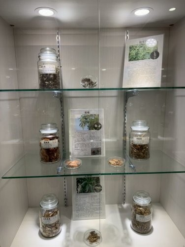 裝飾性圖片
