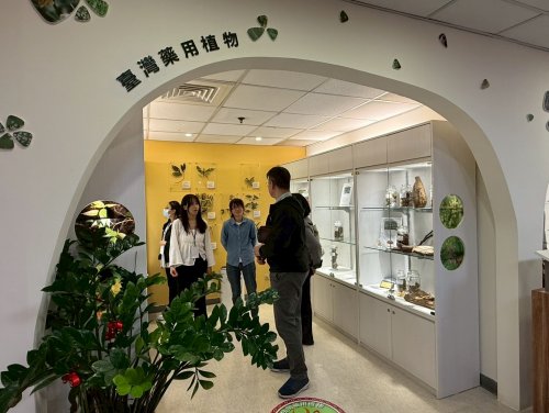 裝飾性圖片
