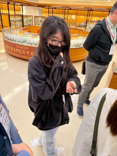 裝飾性圖片