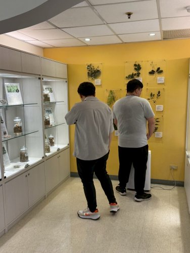 裝飾性圖片