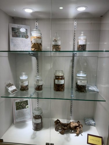 裝飾性圖片