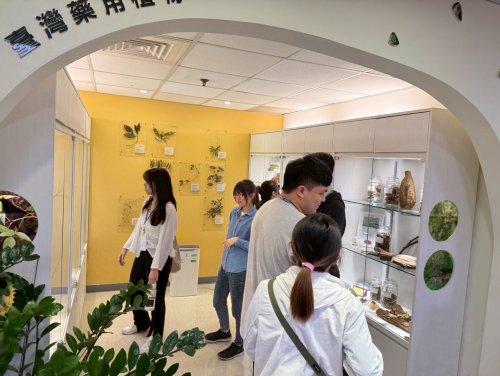 裝飾性圖片