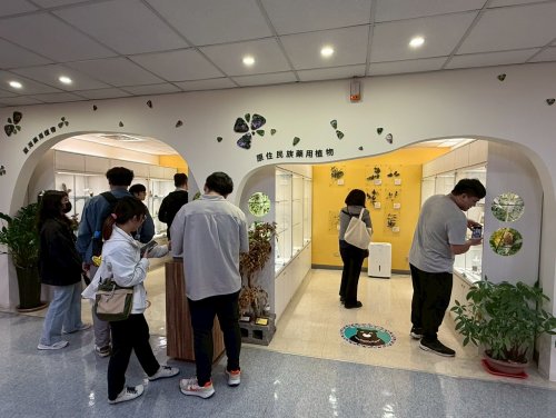 裝飾性圖片