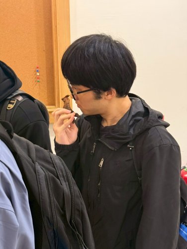 裝飾性圖片