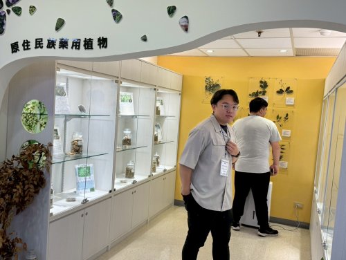 裝飾性圖片