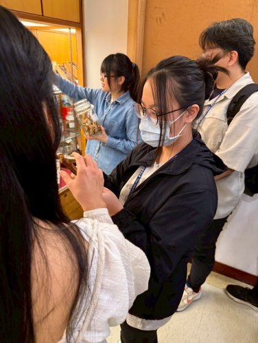 裝飾性圖片